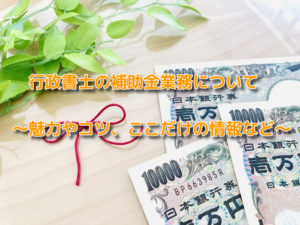 行政書士の補助金業務について～魅力やコツ、ここだけの情報など～